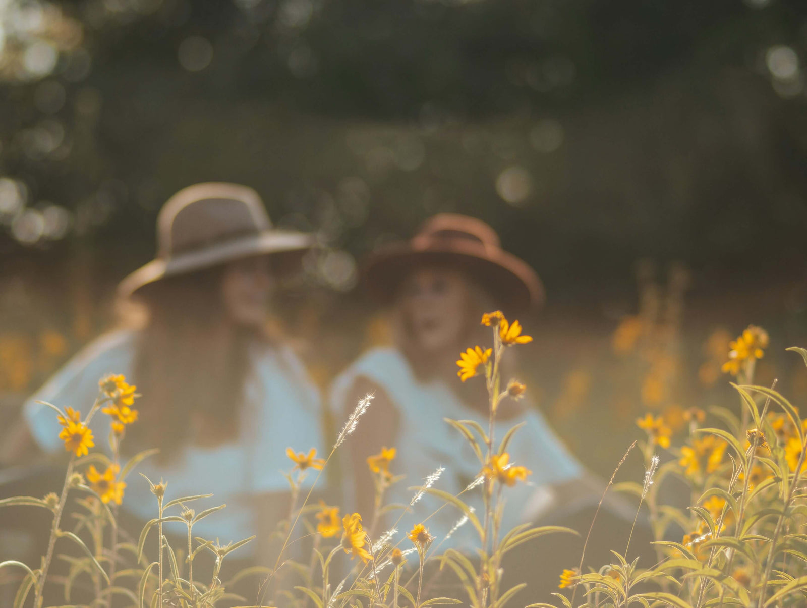 A soft-focus image of two girls in a sunny field with yellow wildflowers.