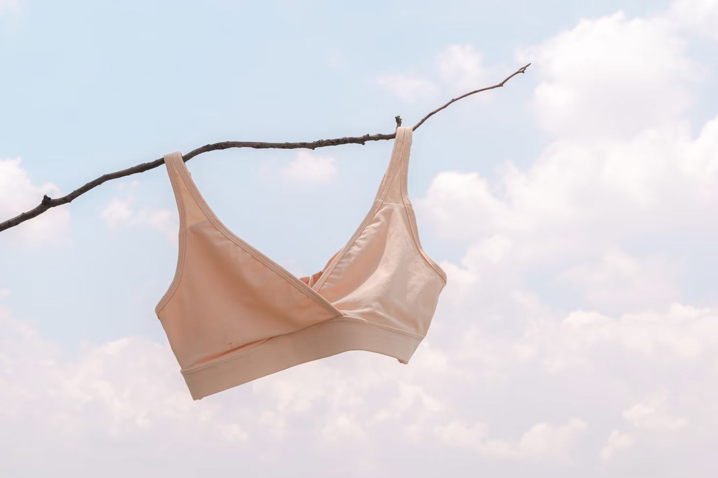 Bra hanging from a branch to symbolize the top bra brand.
