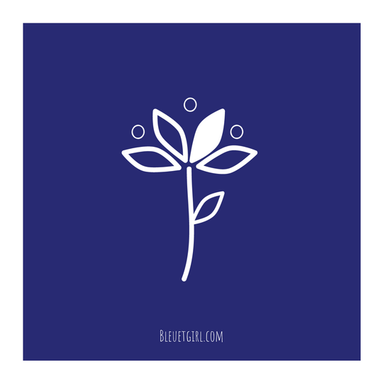 $25#gift card for the best teen bras